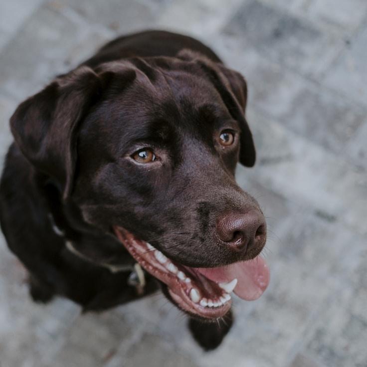 Landscape day trip near Toronto, Canada